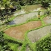 rice_kom_ubud_v_0138_bal5229.jpg
